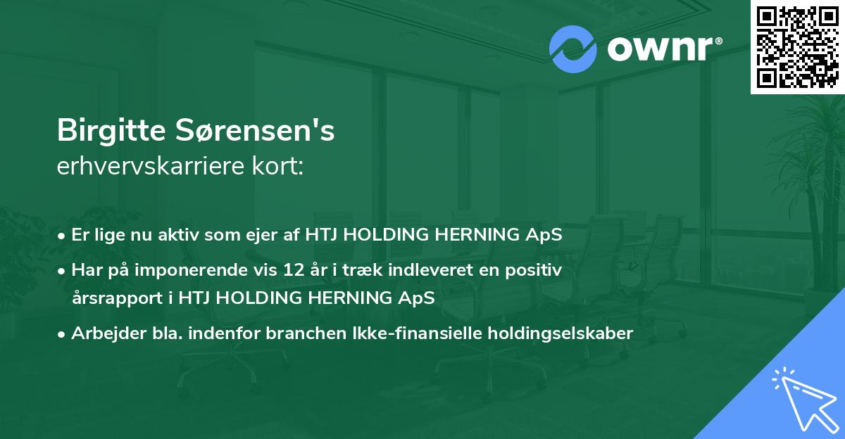 Birgitte Sørensen's erhvervskarriere kort