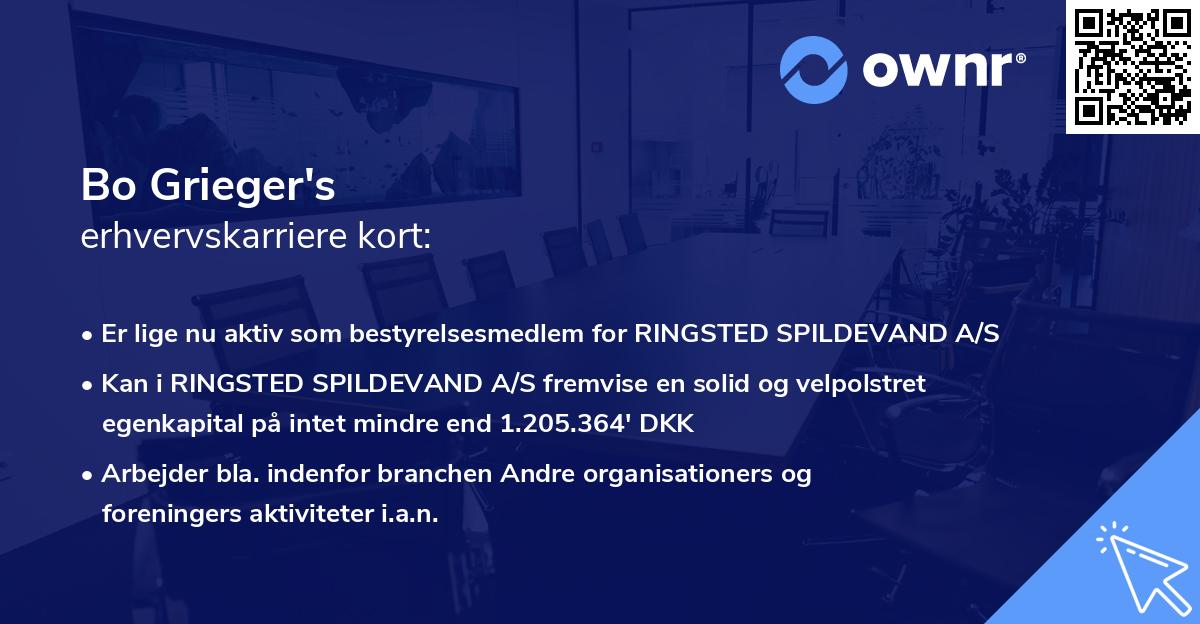 Bo Grieger's erhvervskarriere kort