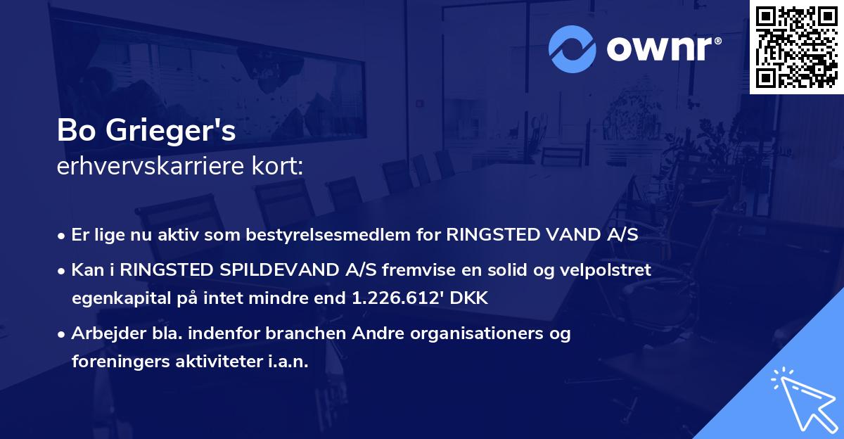 Bo Grieger's erhvervskarriere kort