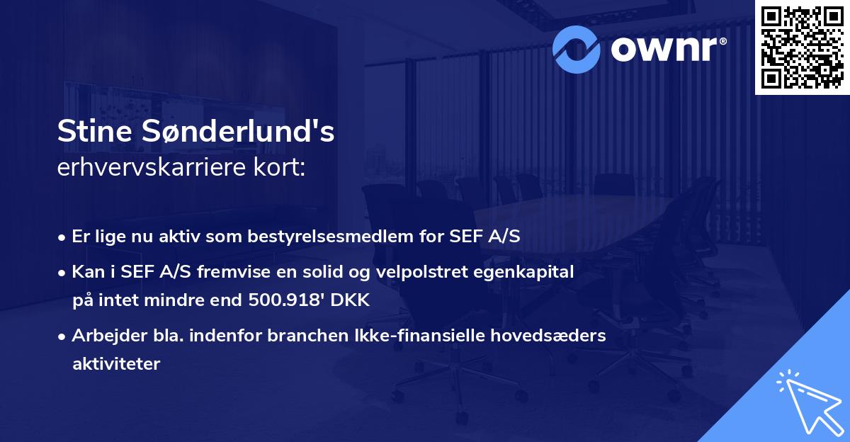 Stine Sønderlund's erhvervskarriere kort