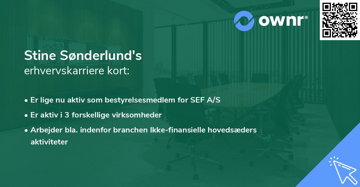 Stine Sønderlund's erhvervskarriere kort