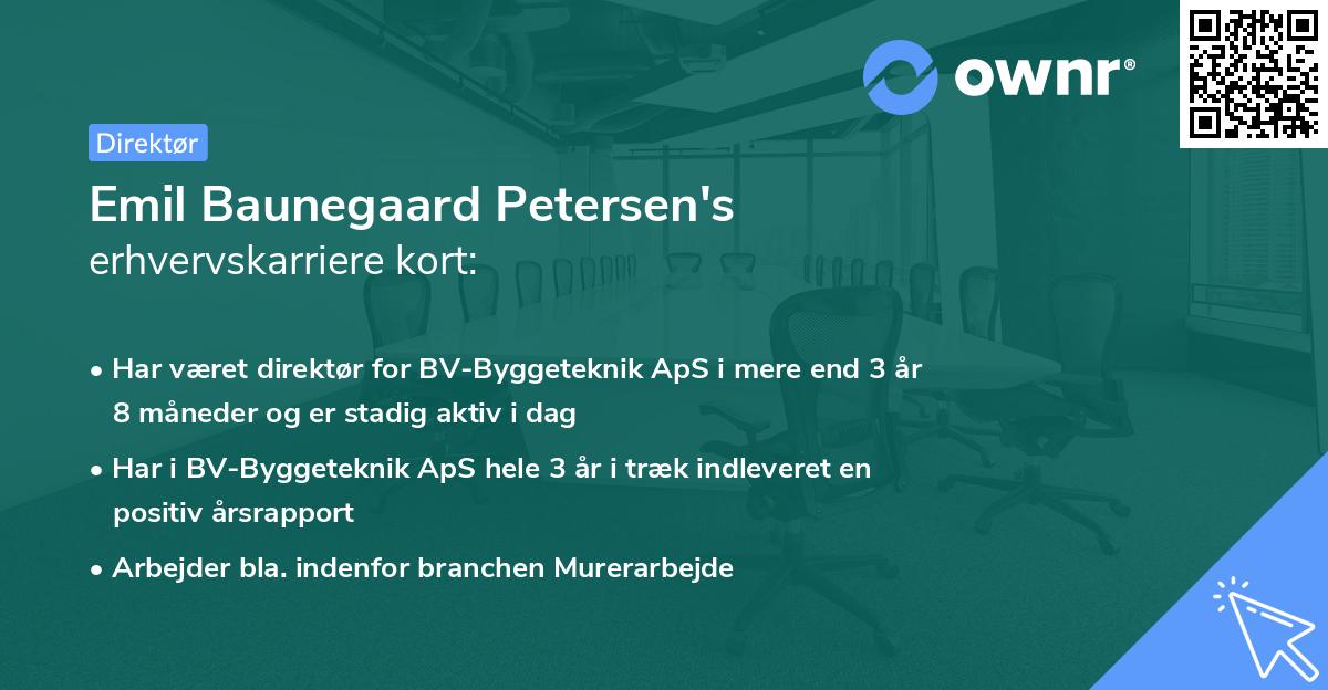 Emil Baunegaard Petersen's erhvervskarriere kort