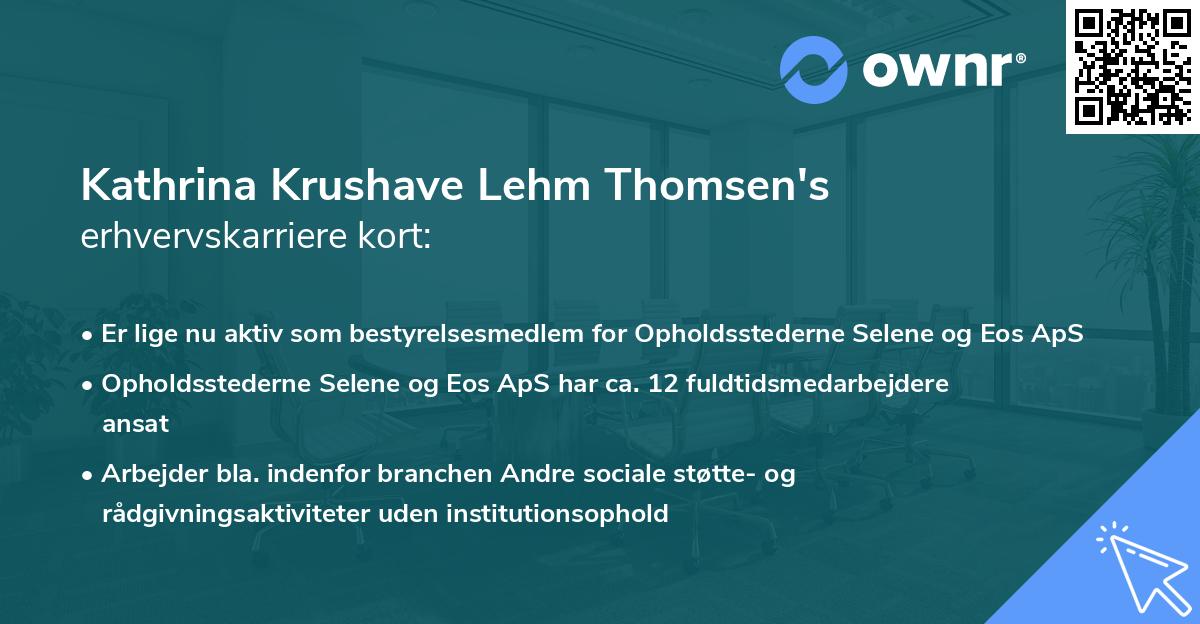 Kathrina Krushave Lehm Thomsen's erhvervskarriere kort