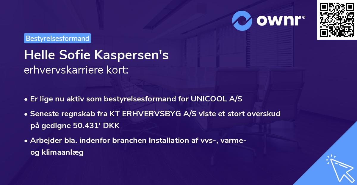 Helle Sofie Kaspersen's erhvervskarriere kort