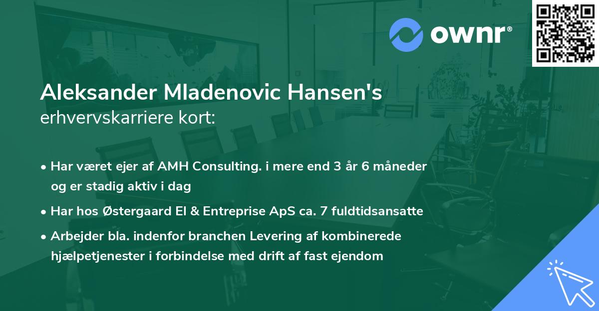 Aleksander Mladenovic Hansen's erhvervskarriere kort