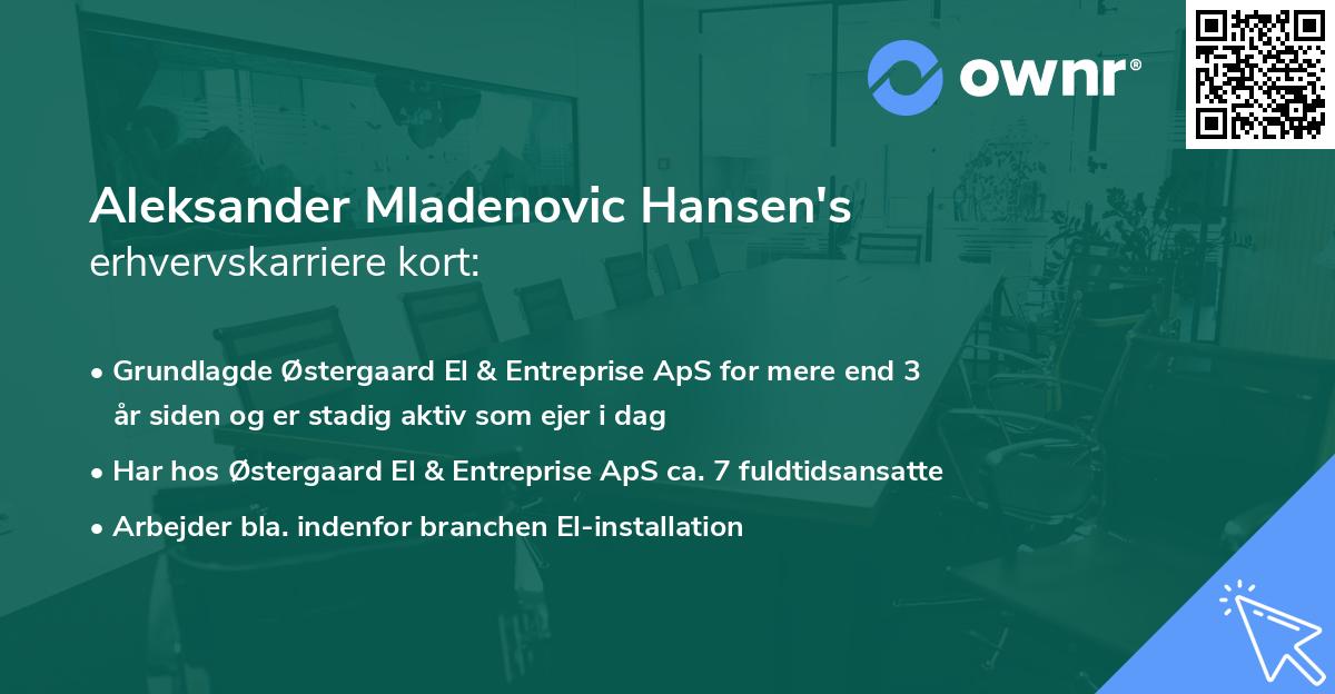 Aleksander Mladenovic Hansen's erhvervskarriere kort