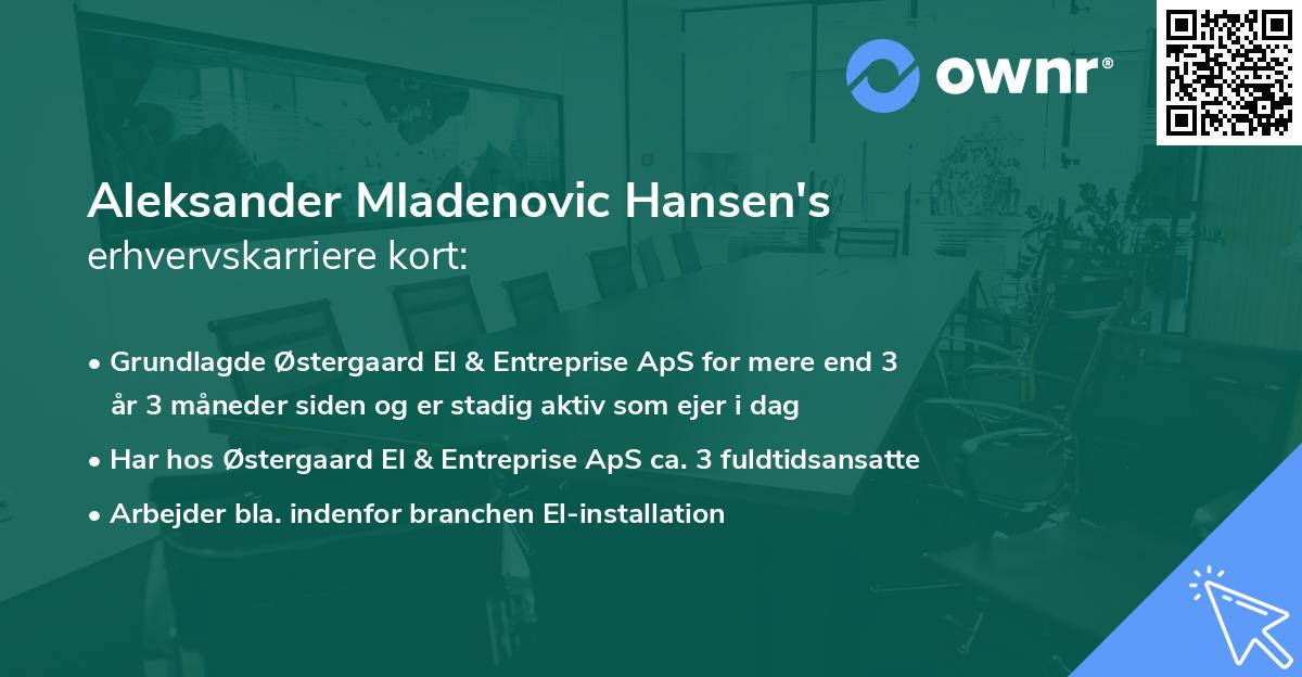 Aleksander Mladenovic Hansen's erhvervskarriere kort