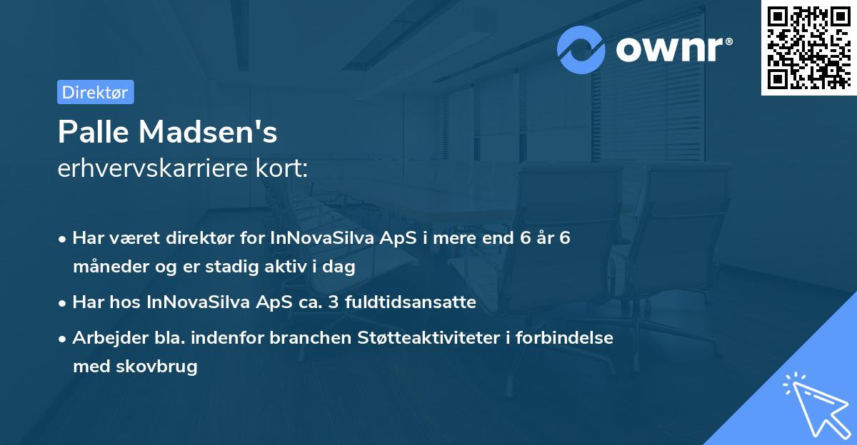 Palle Madsen's erhvervskarriere kort