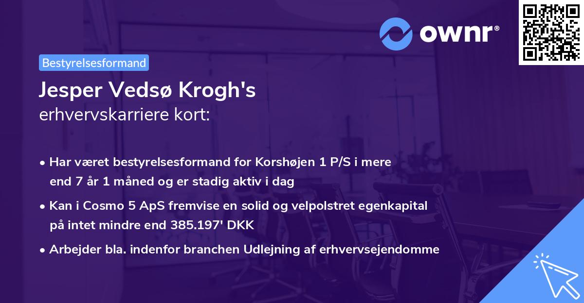 Jesper Vedsø Krogh's erhvervskarriere kort