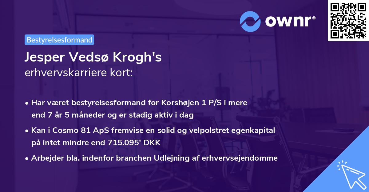 Jesper Vedsø Krogh's erhvervskarriere kort