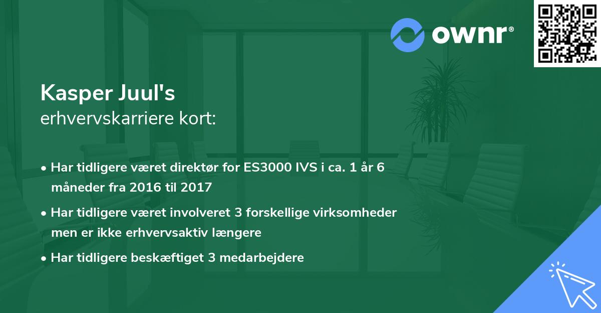 Kasper Juul's erhvervskarriere kort