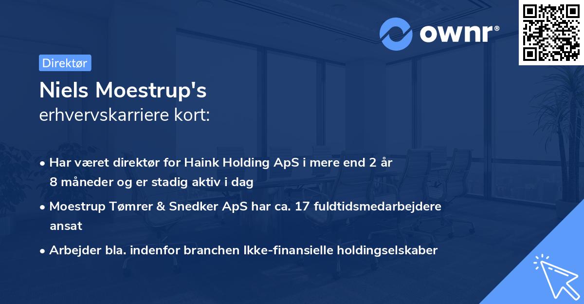 Niels Moestrup's erhvervskarriere kort