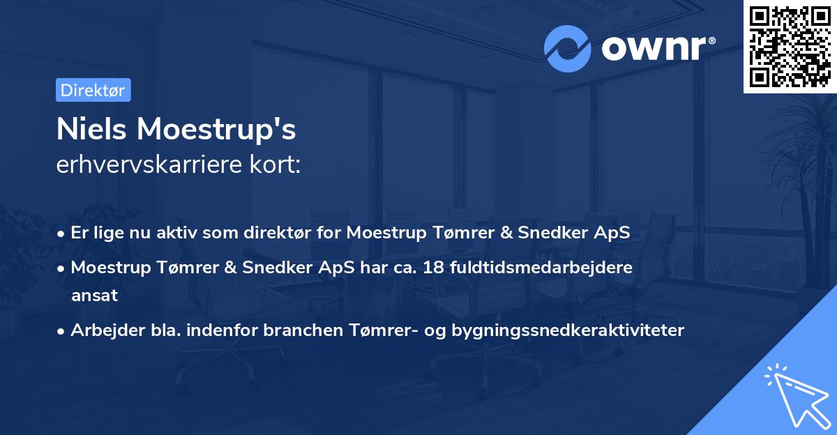 Niels Moestrup's erhvervskarriere kort