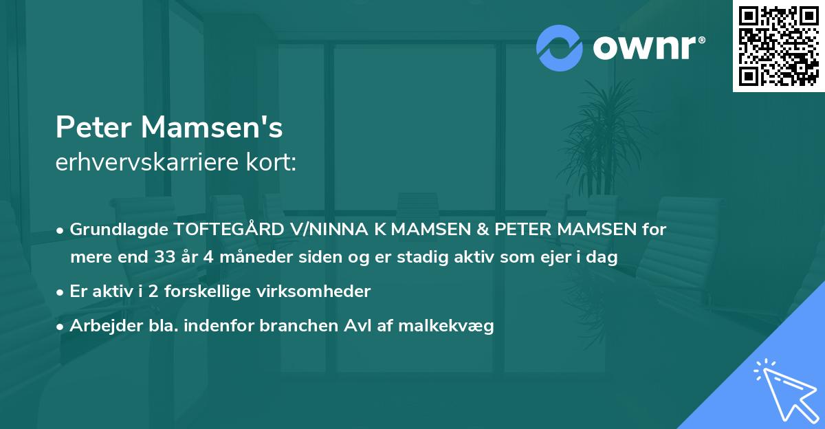 Peter Mamsen's erhvervskarriere kort