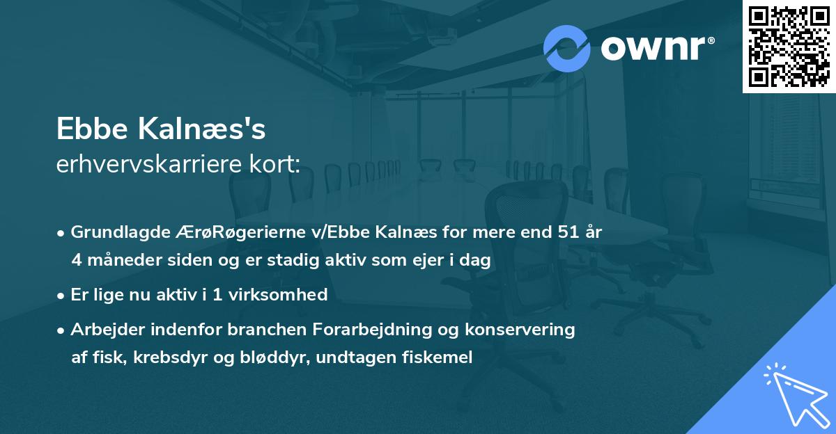 Ebbe Kalnæs's erhvervskarriere kort