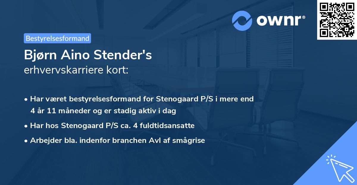 Bjørn Aino Stender's erhvervskarriere kort