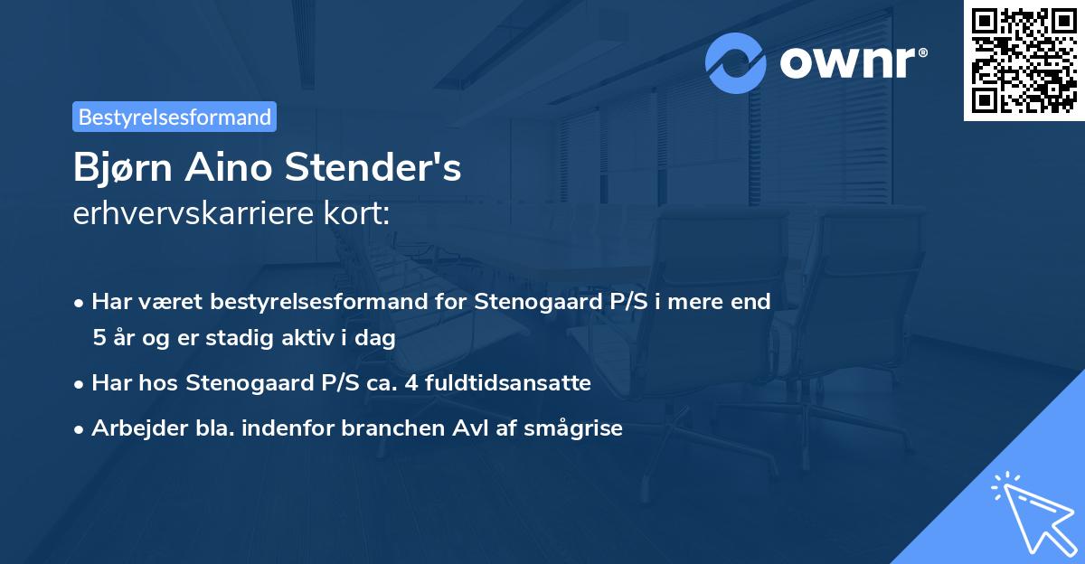 Bjørn Aino Stender's erhvervskarriere kort