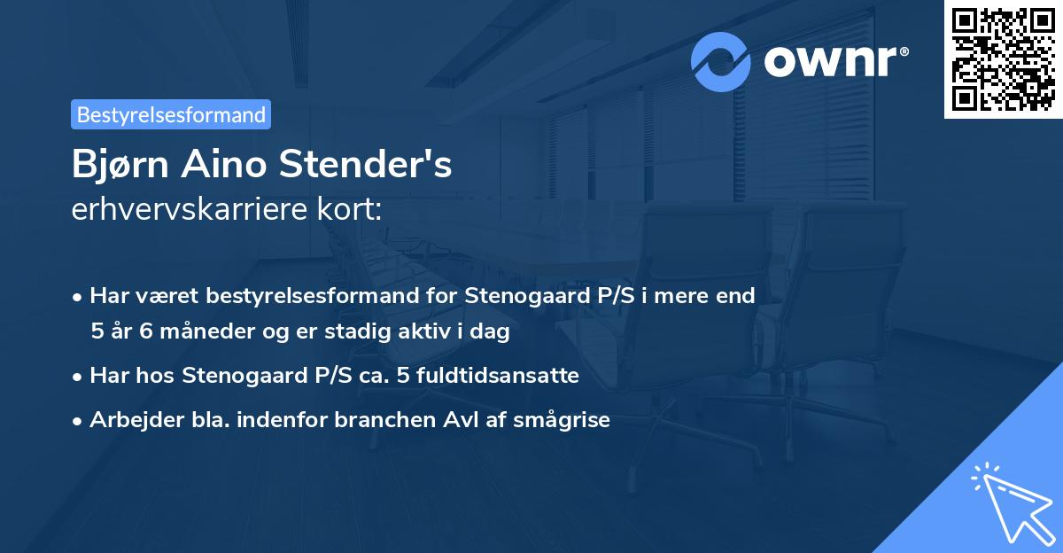 Bjørn Aino Stender's erhvervskarriere kort