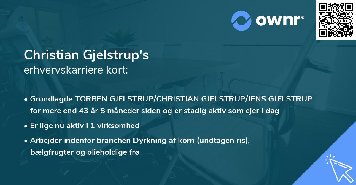 Christian Gjelstrup's erhvervskarriere kort