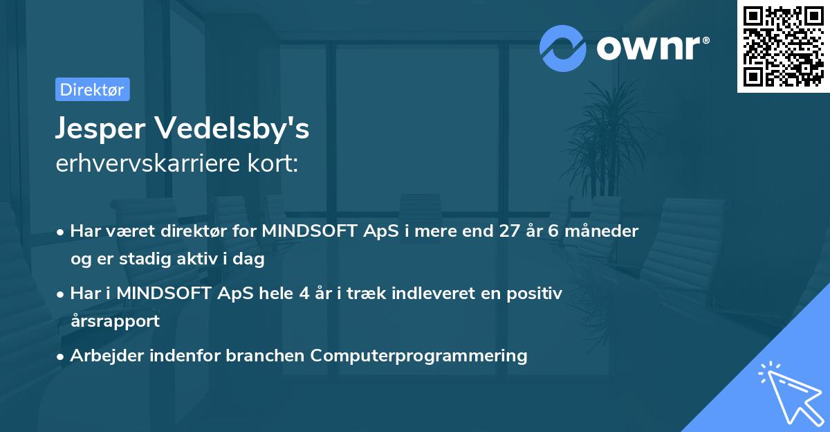 Jesper Vedelsby's erhvervskarriere kort