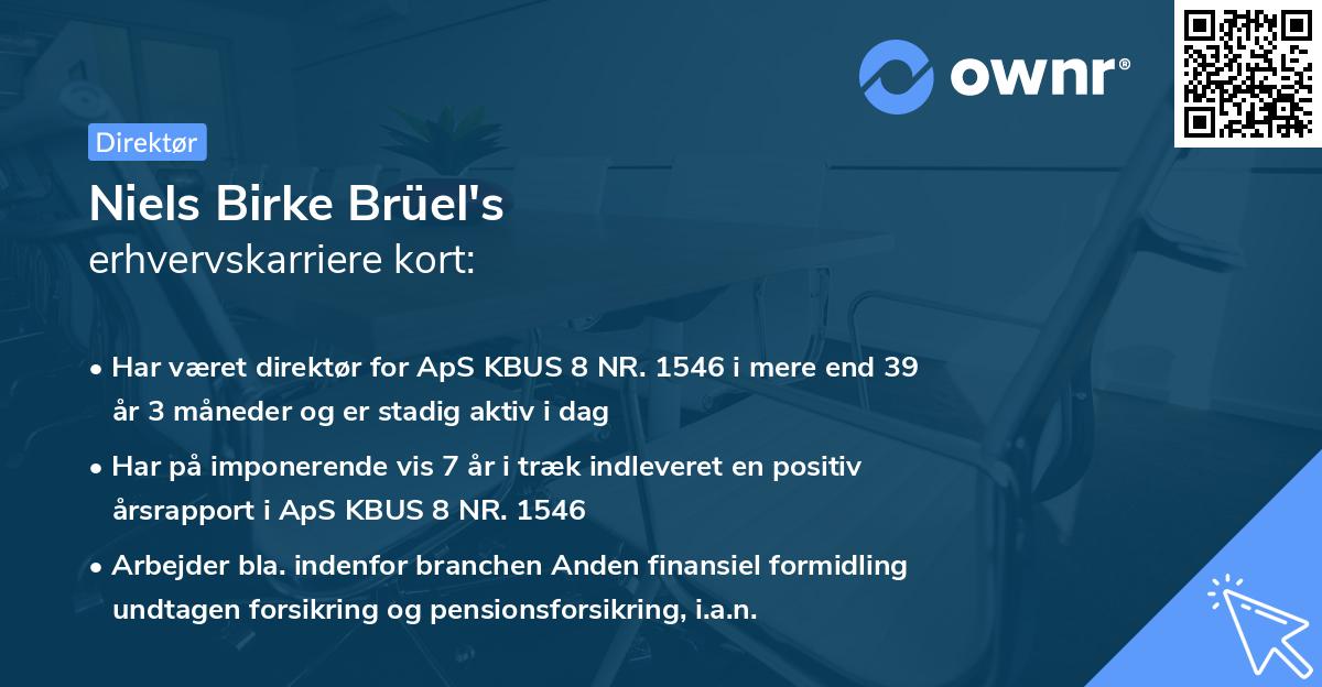 Niels Birke Brüel's erhvervskarriere kort