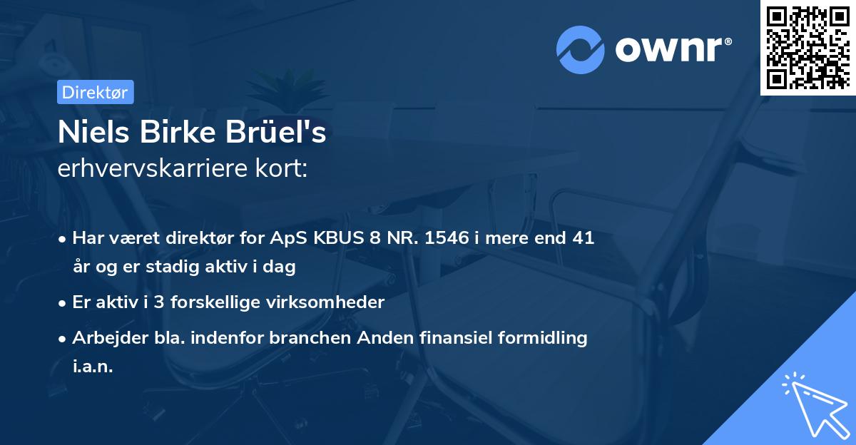 Niels Birke Brüel's erhvervskarriere kort