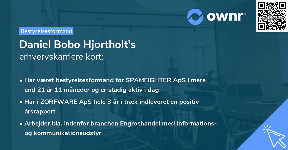 Daniel Bobo Hjortholt's erhvervskarriere kort