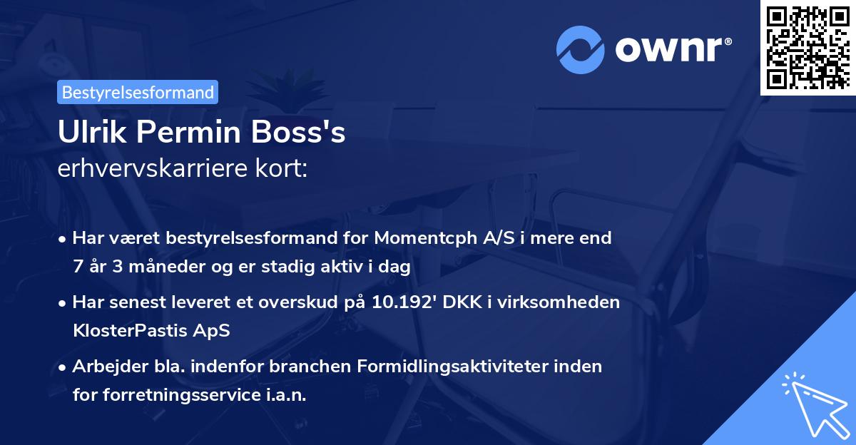 Ulrik Permin Boss's erhvervskarriere kort