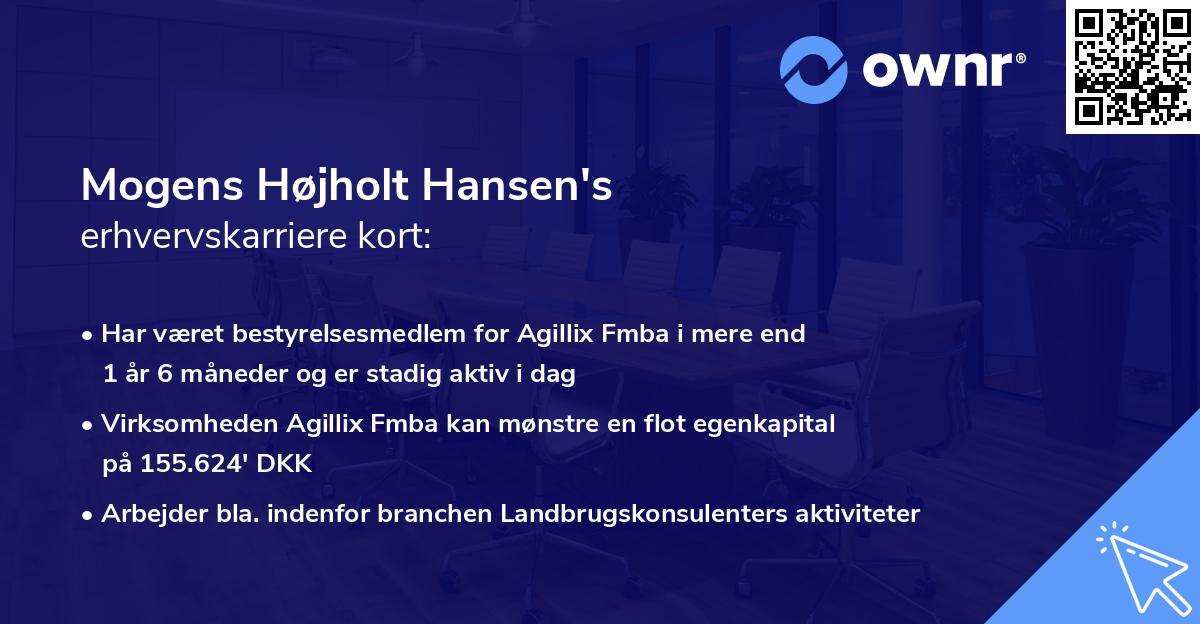 Mogens Højholt Hansen's erhvervskarriere kort