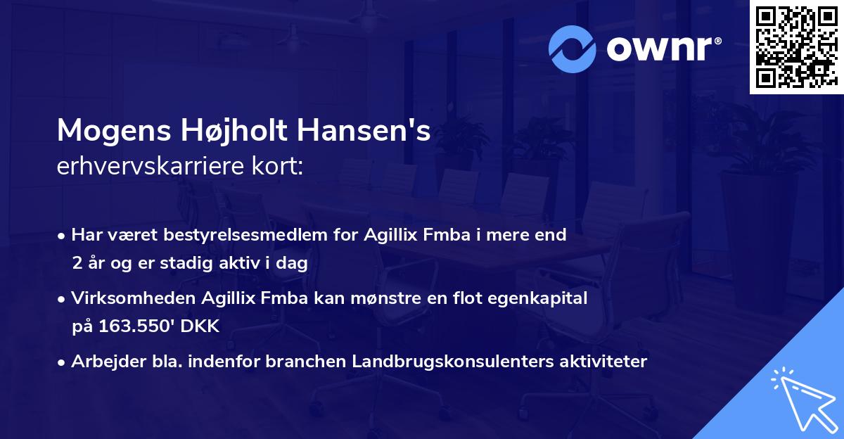 Mogens Højholt Hansen's erhvervskarriere kort