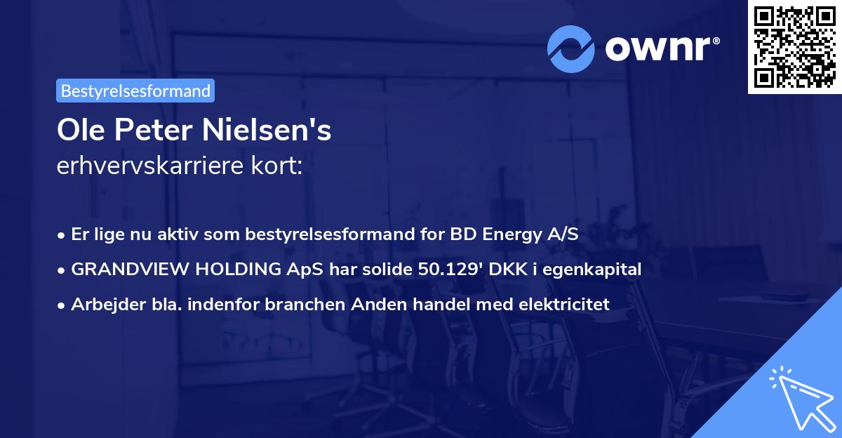 Ole Peter Nielsen's erhvervskarriere kort