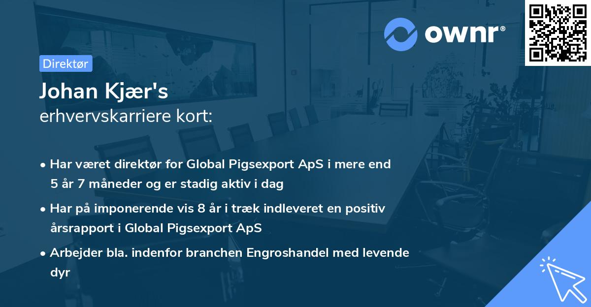 Johan Kjær's erhvervskarriere kort