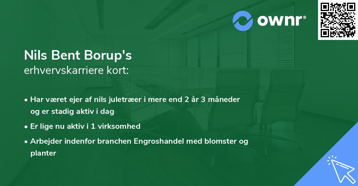 Nils Bent Borup's erhvervskarriere kort