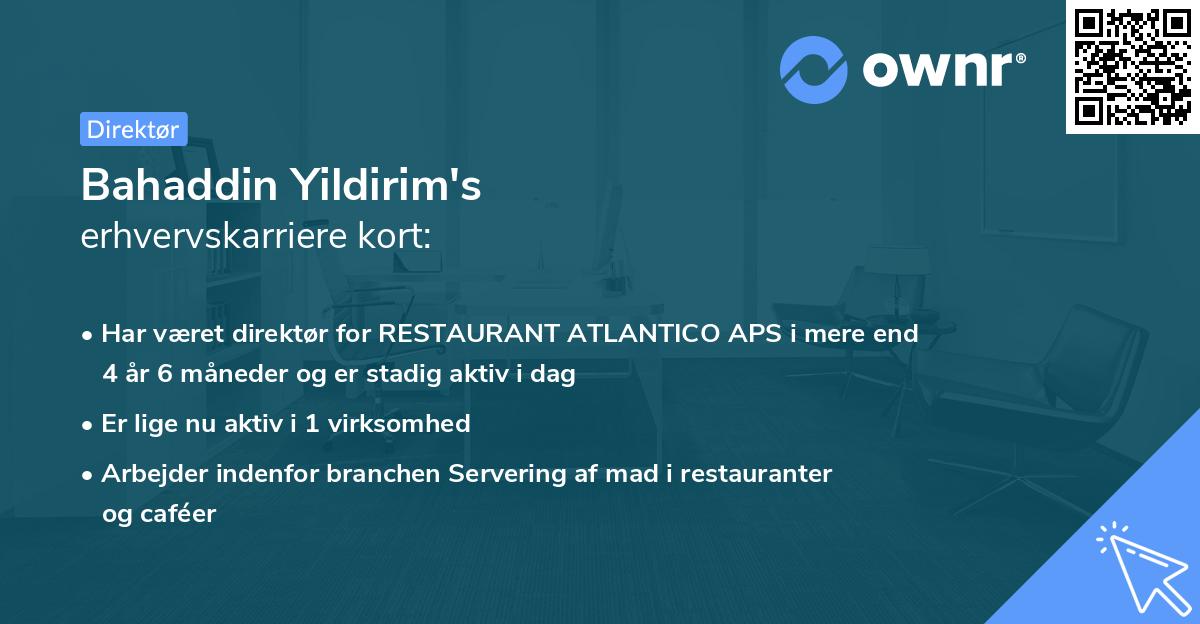 Bahaddin Yildirim's erhvervskarriere kort