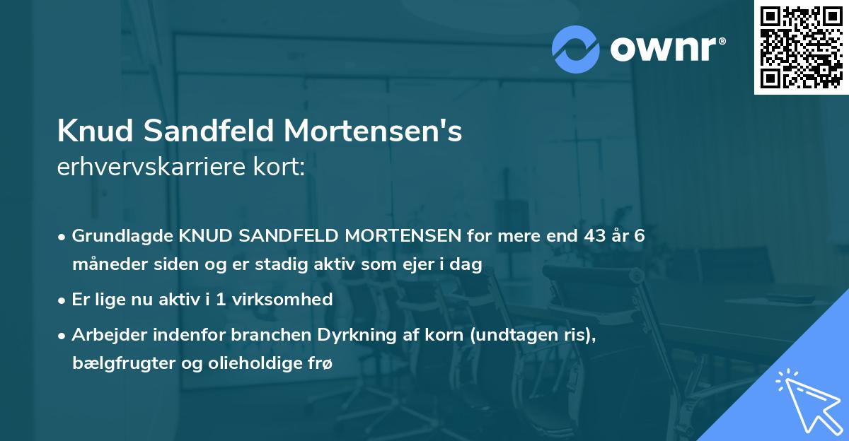 Knud Sandfeld Mortensen's erhvervskarriere kort