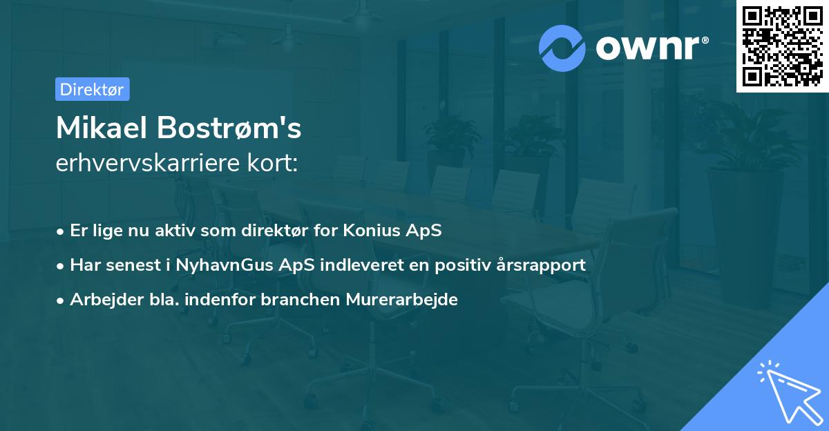 Mikael Bostrøm's erhvervskarriere kort