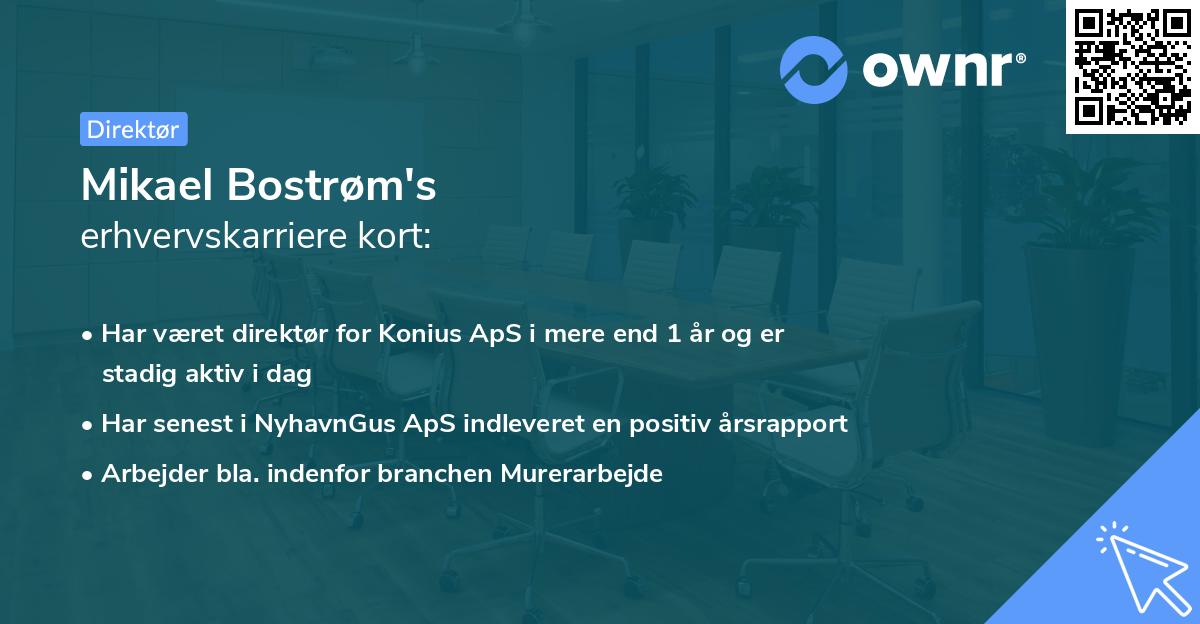 Mikael Bostrøm's erhvervskarriere kort