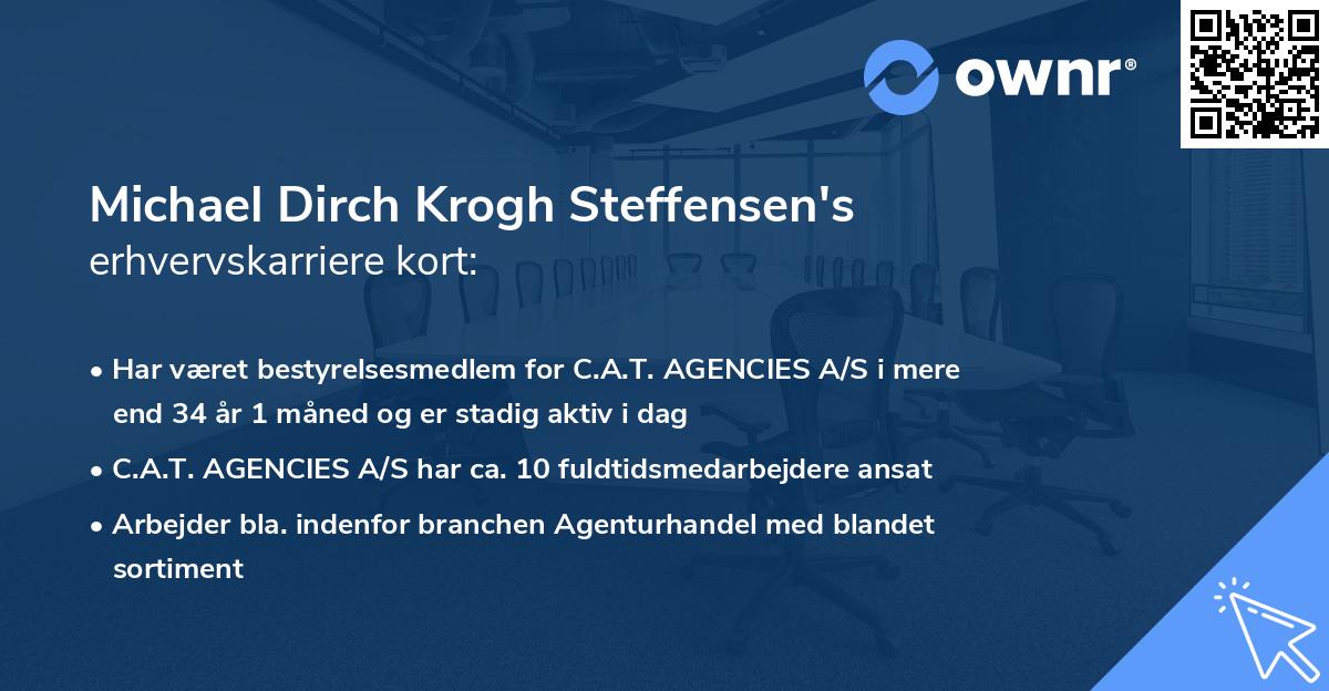 Michael Dirch Krogh Steffensen's erhvervskarriere kort