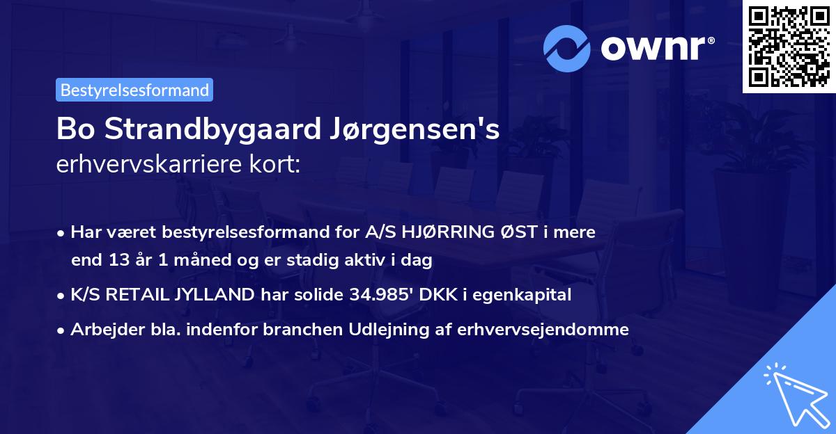Bo Strandbygaard Jørgensen's erhvervskarriere kort