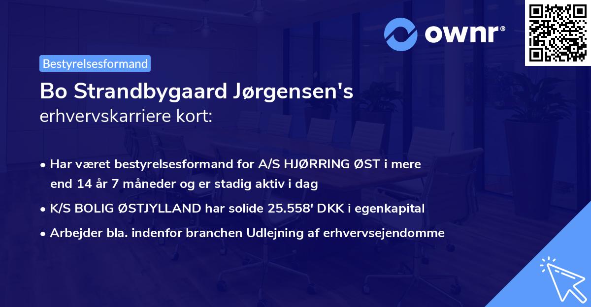 Bo Strandbygaard Jørgensen's erhvervskarriere kort