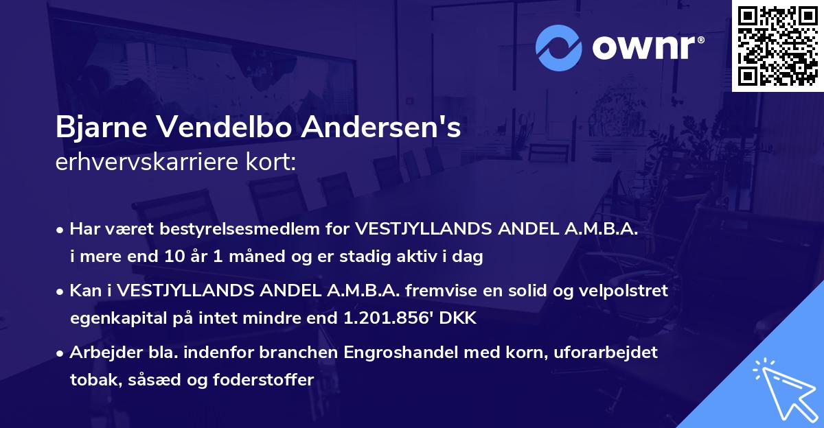 Bjarne Vendelbo Andersen's erhvervskarriere kort