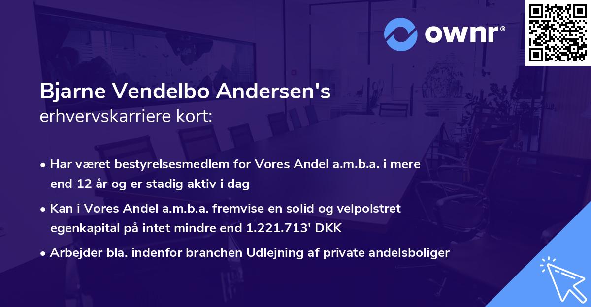 Bjarne Vendelbo Andersen's erhvervskarriere kort