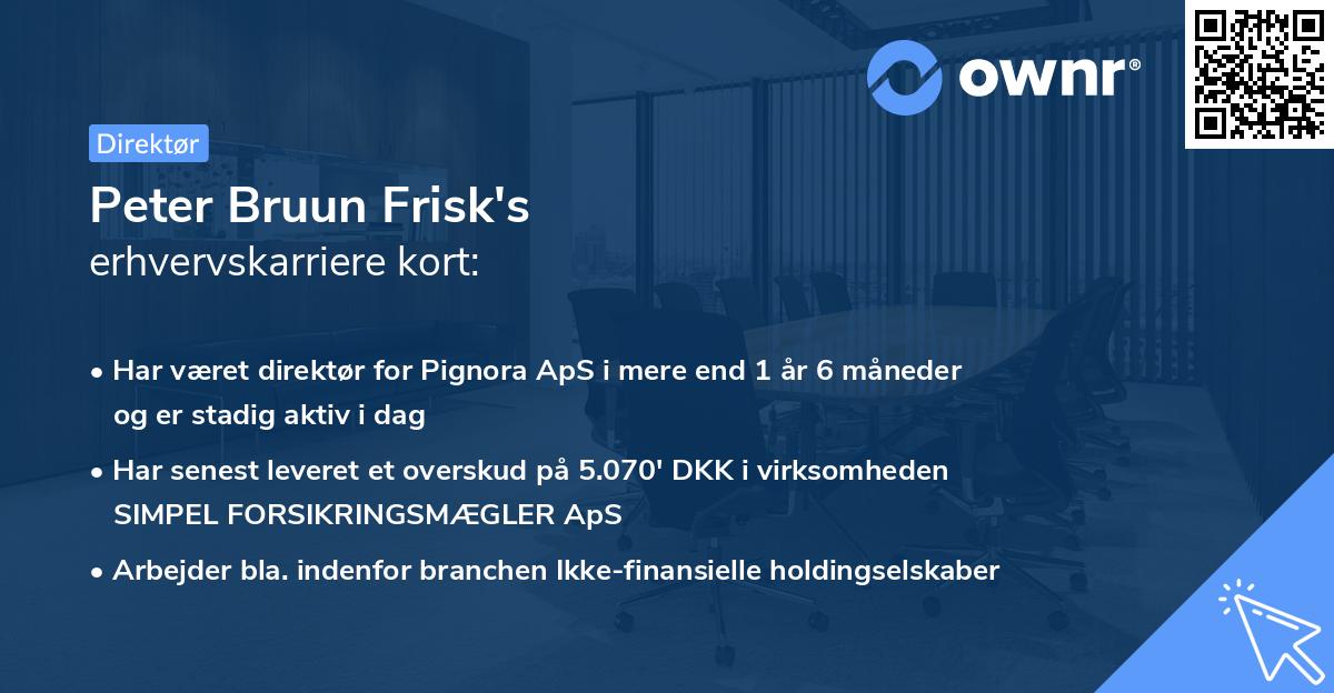 Peter Bruun Frisk's erhvervskarriere kort