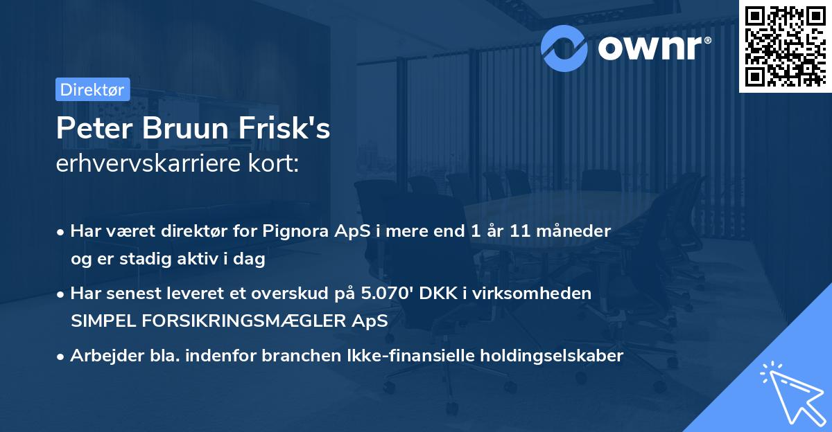 Peter Bruun Frisk's erhvervskarriere kort