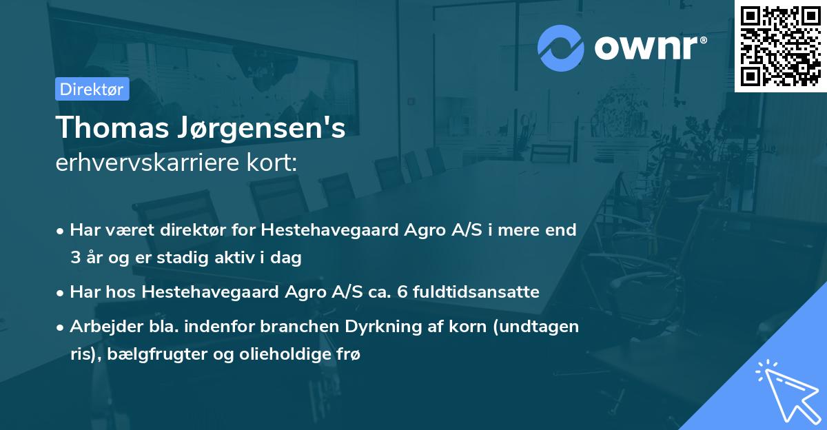 Thomas Jørgensen's erhvervskarriere kort