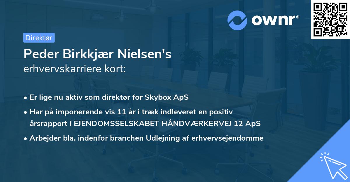 Peder Birkkjær Nielsen's erhvervskarriere kort