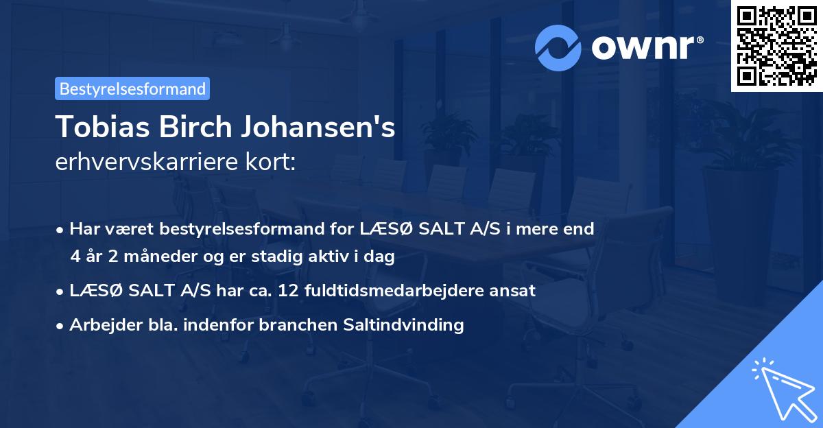 Tobias Birch Johansen's erhvervskarriere kort