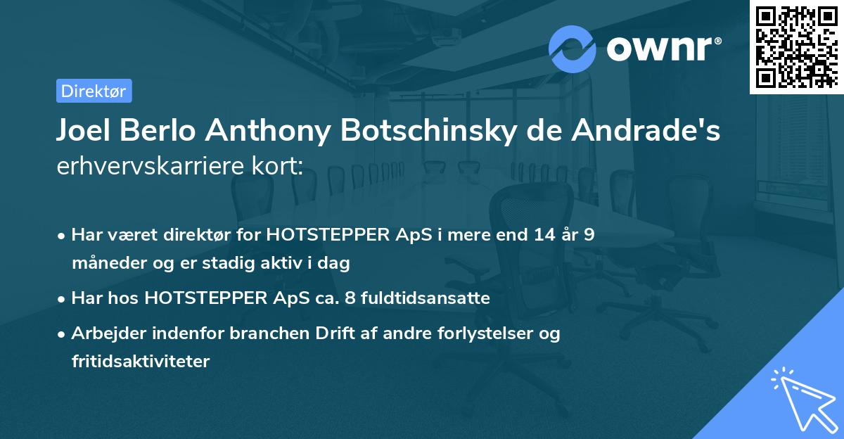 Joel Berlo Anthony Botschinsky de Andrade's erhvervskarriere kort