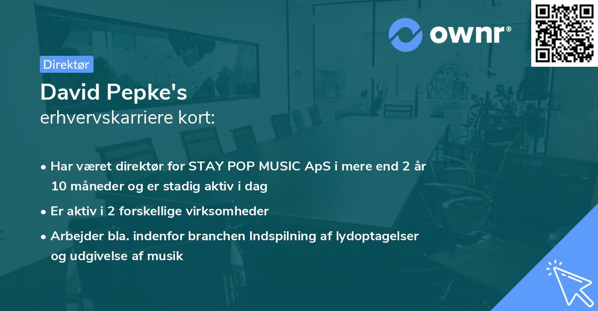 David Pepke's erhvervskarriere kort