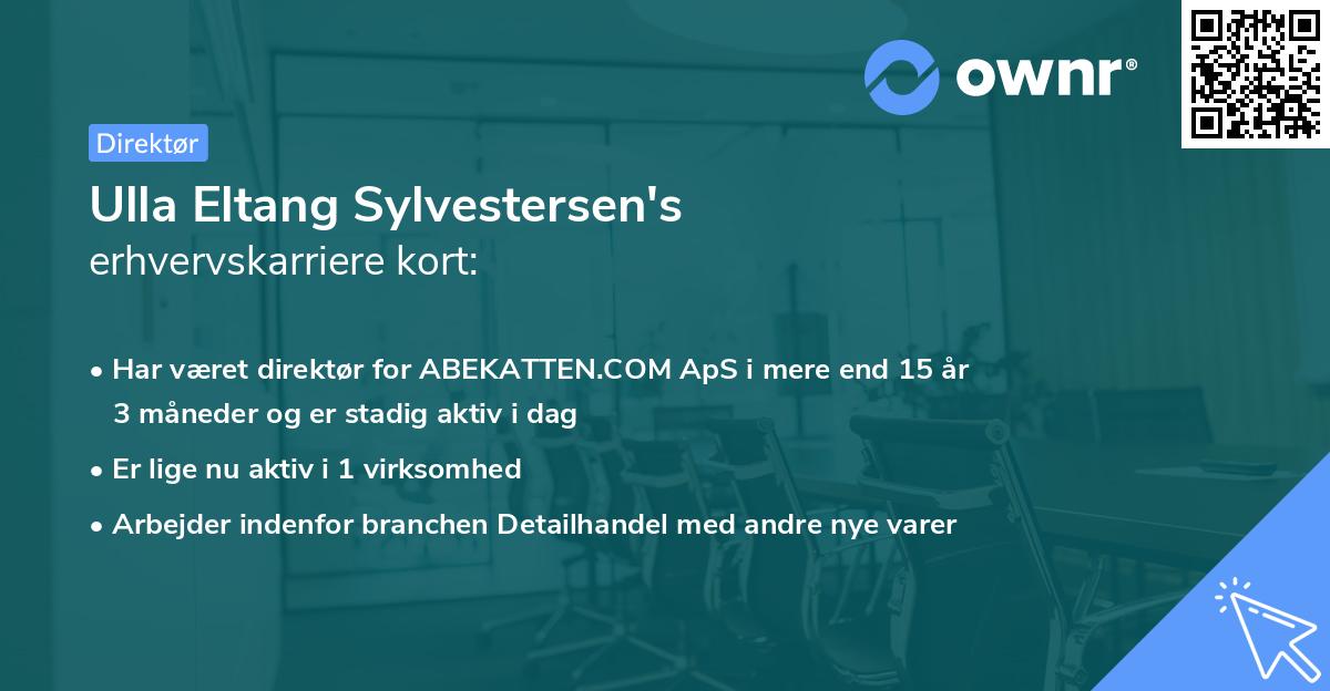 Ulla Eltang Sylvestersen's erhvervskarriere kort